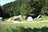 Camping La Favière - Photo 2