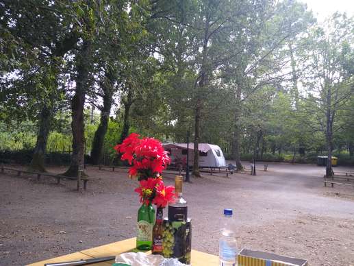 Een foto toegevoegd aan een locatie