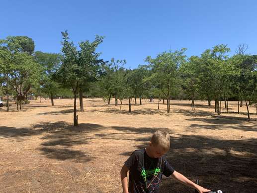 Added a photo to a location