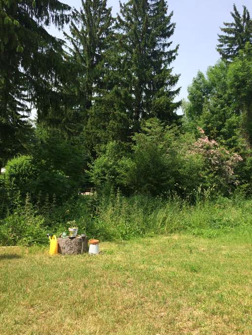 Added a photo to a location