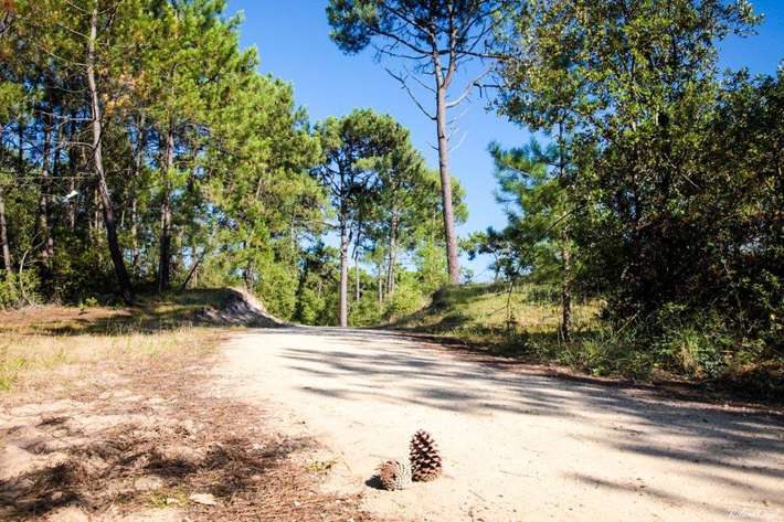 Camping Le Bois Joly