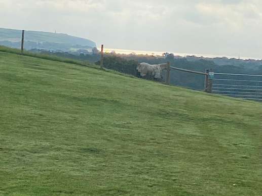 Een foto toegevoegd aan een locatie