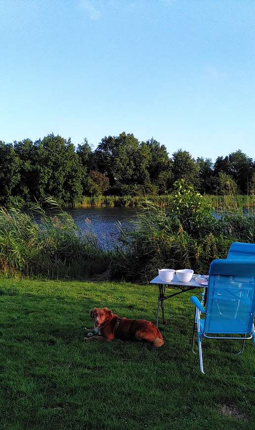 Een foto toegevoegd aan een locatie
