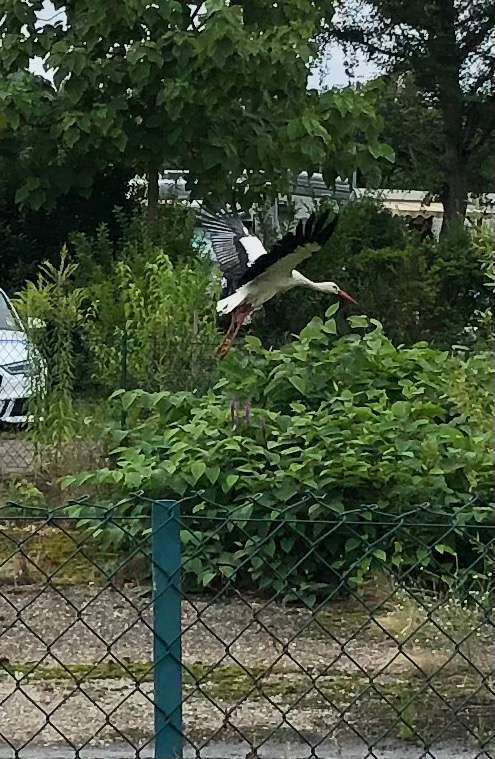 Einem Ort wurde ein Foto hinzugefügt