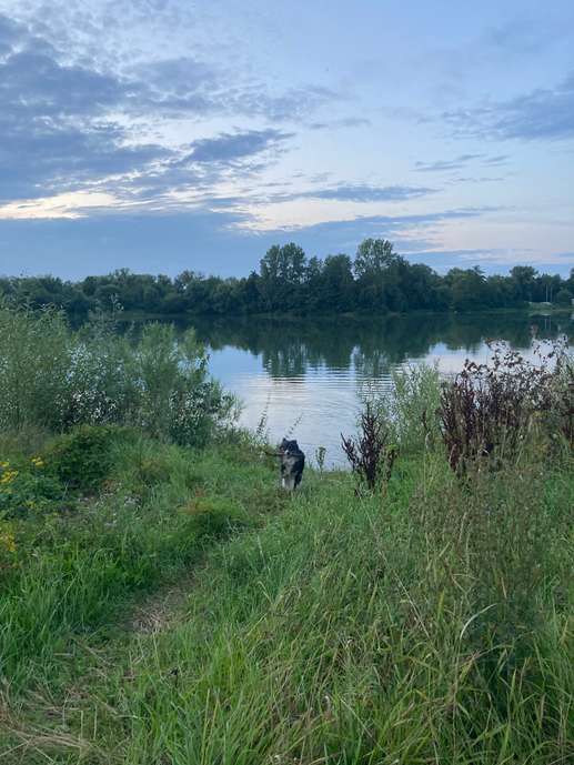 Added a photo to a location