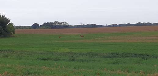Added a photo to a location