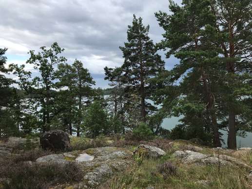 Added a photo to a location