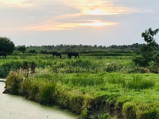 Aggiunta una foto a una posizione