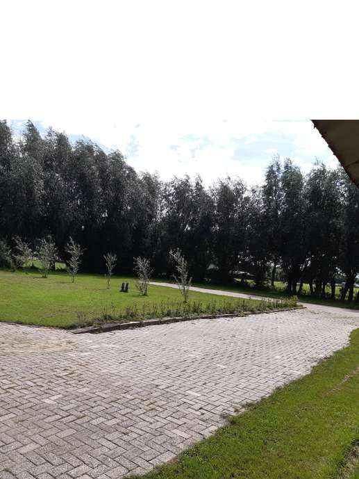 Añadió una foto a una ubicación