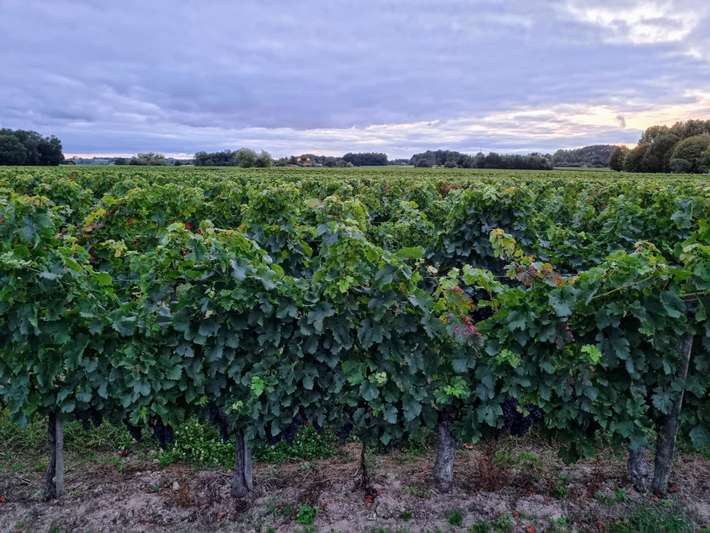 Parking Clos Maine Graveraeau