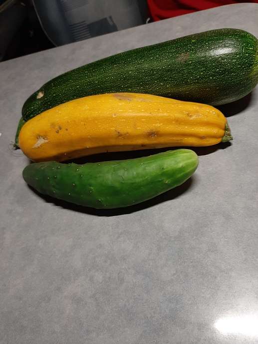 Einem Ort wurde ein Foto hinzugefügt