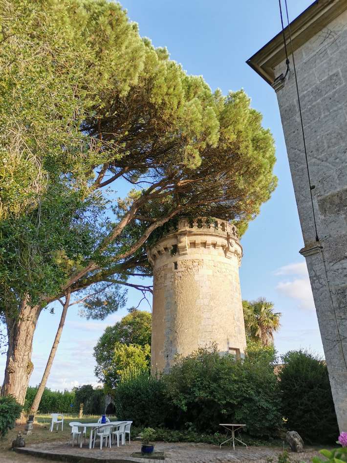 Château Gros Moulin