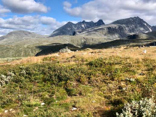 Een foto toegevoegd aan een locatie