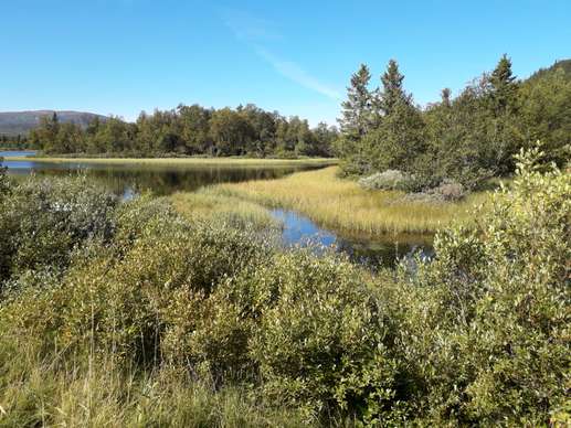 Added a photo to a location