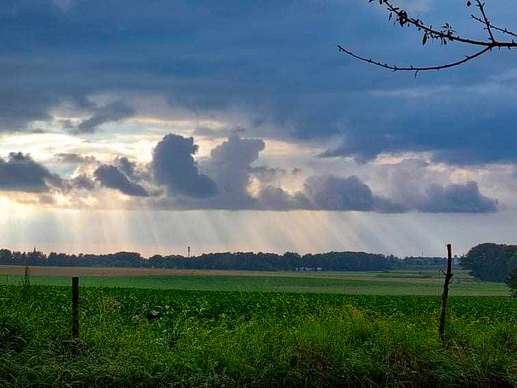 Een foto toegevoegd aan een locatie