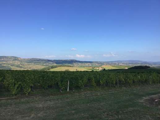 Added a photo to a location