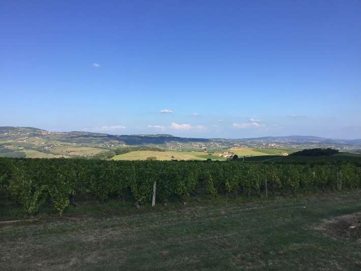 Domaine de Lerieux