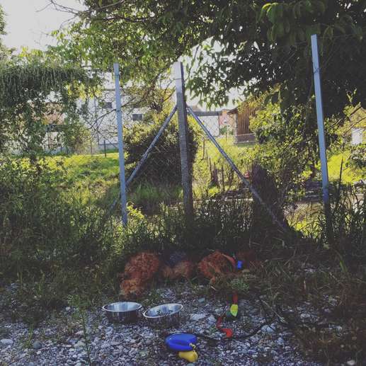 Aggiunta una foto a una posizione