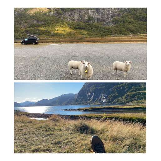 Een foto toegevoegd aan een locatie