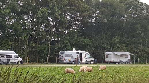 Een foto toegevoegd aan een locatie