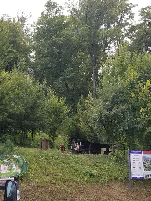 Aggiunta una foto a una posizione
