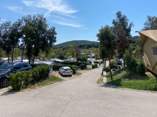 Added a photo to a location