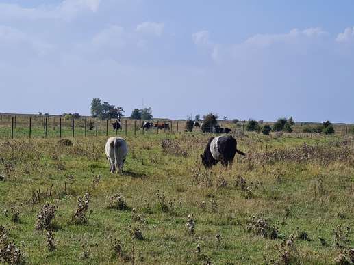 Added a photo to a location