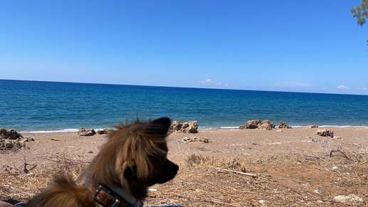 Added a photo to a location