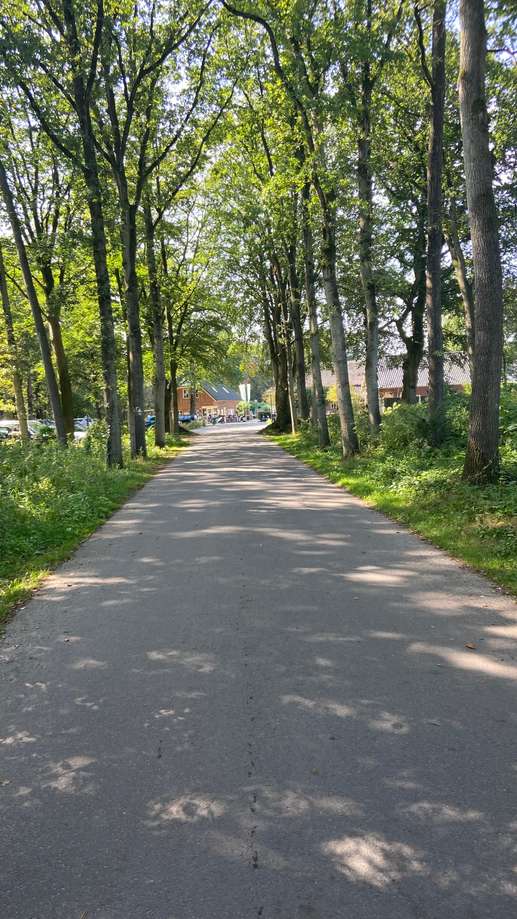 Een foto toegevoegd aan een locatie