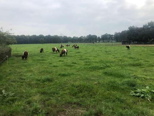 Een foto toegevoegd aan een locatie