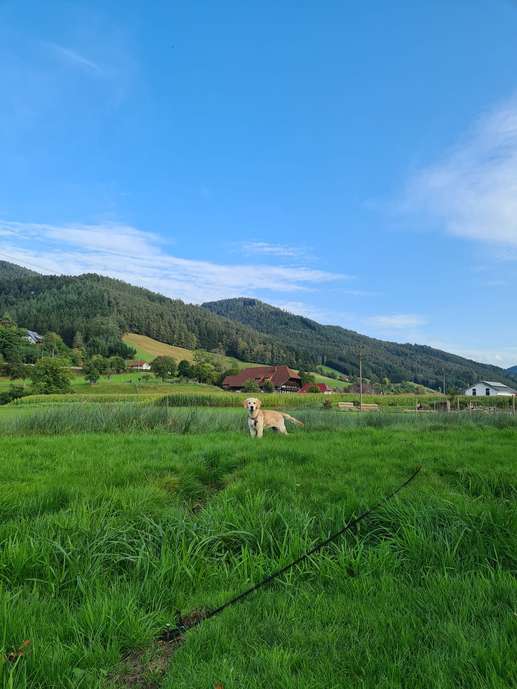 Added a photo to a location