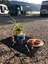 Campingplatz Schliersee