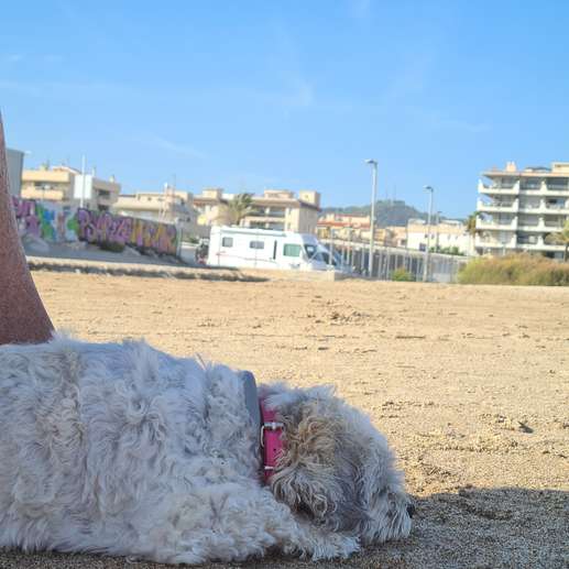 Aggiunta una foto a una posizione