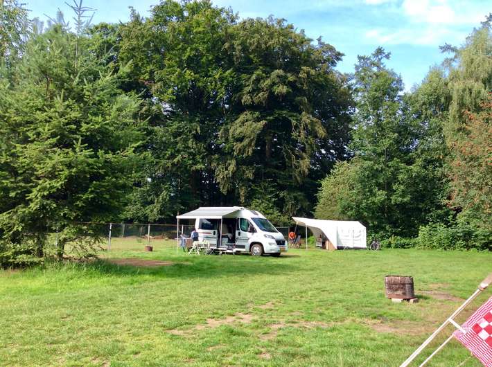 Natuurcamping De Dassenboom