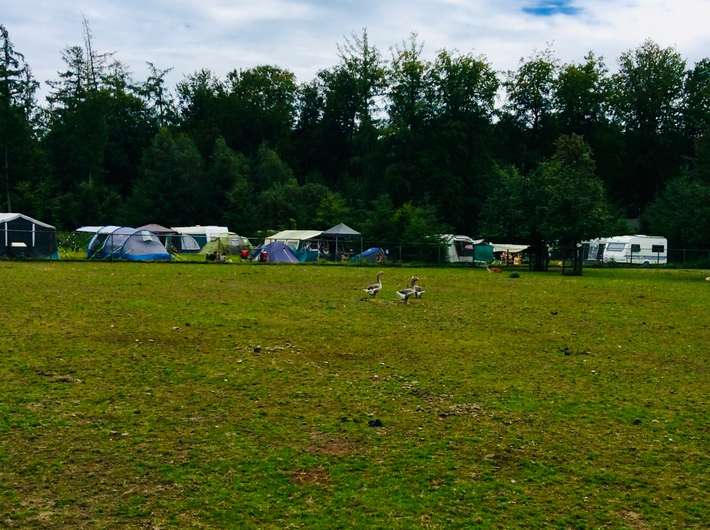 Natuurcamping De Dassenboom