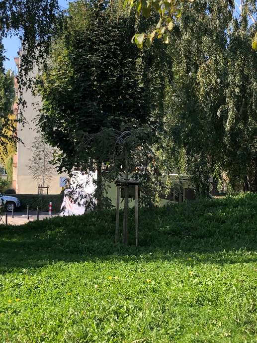 Ajout d'une photo à un emplacement