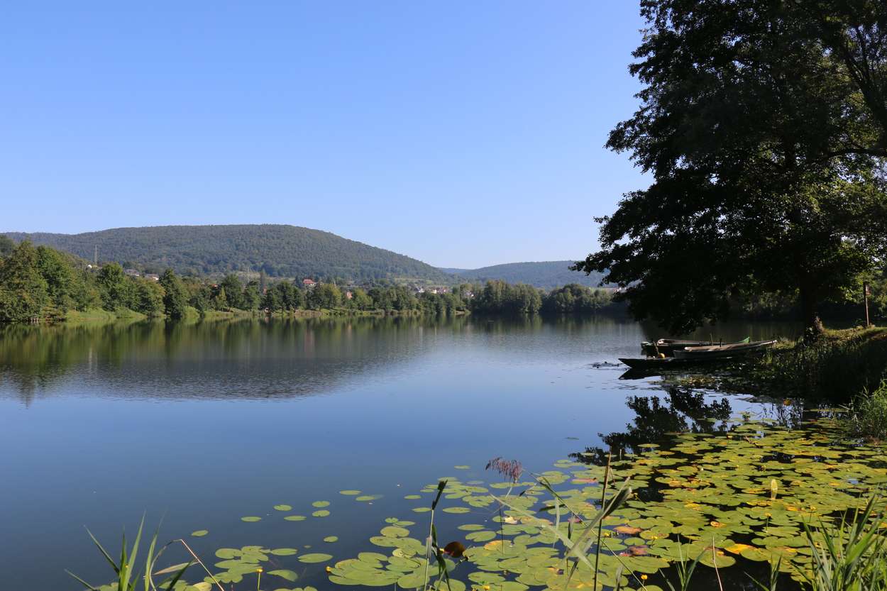 Seecamping Freudenberg am Main  Campercontact