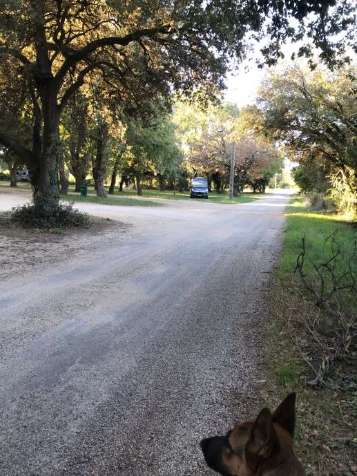 Aggiunta una foto a una posizione