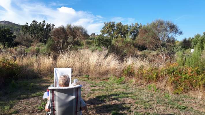 Quinta do Maral - naturist camping