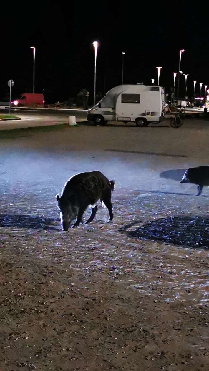 Parcheggio Comunale