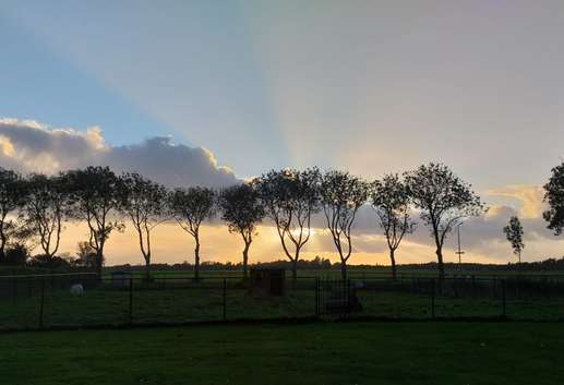 Added a photo to a location