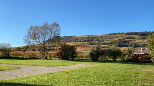 Added a photo to a location