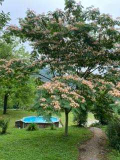 Added a photo to a location