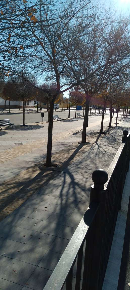 Added a photo to a location