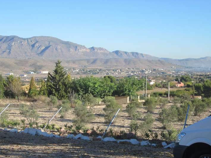 Casa Las Adelfas