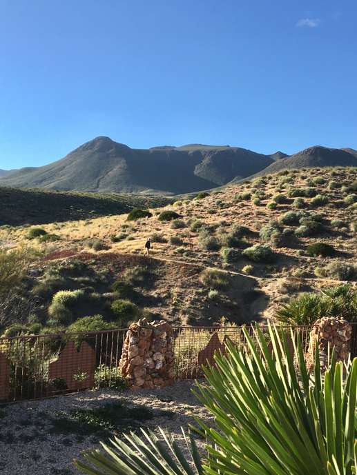 Added a photo to a location