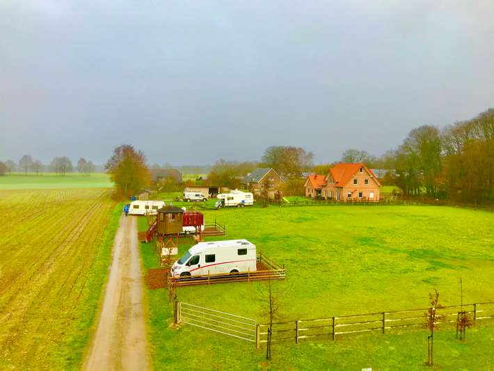 Alpaka-camping