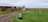 Camping Breidavik