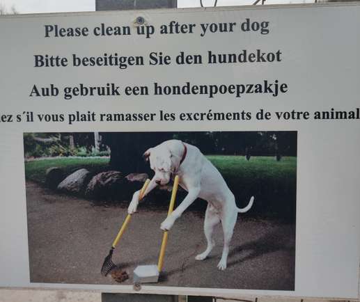Een foto toegevoegd aan een locatie