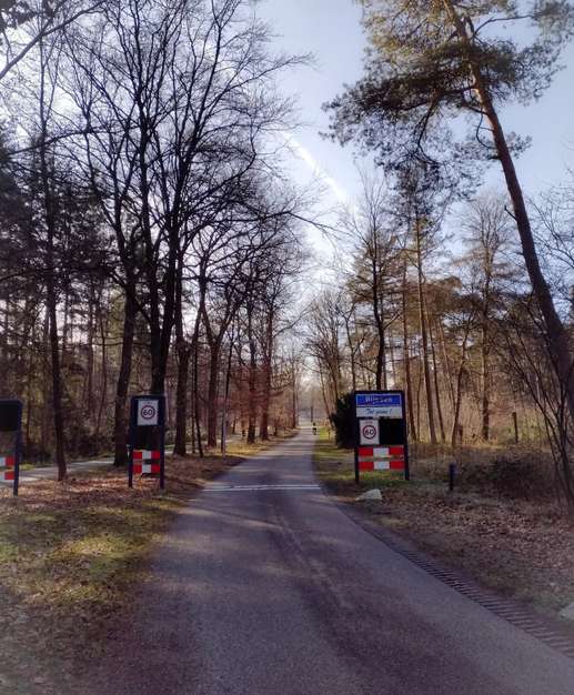 Een foto toegevoegd aan een locatie